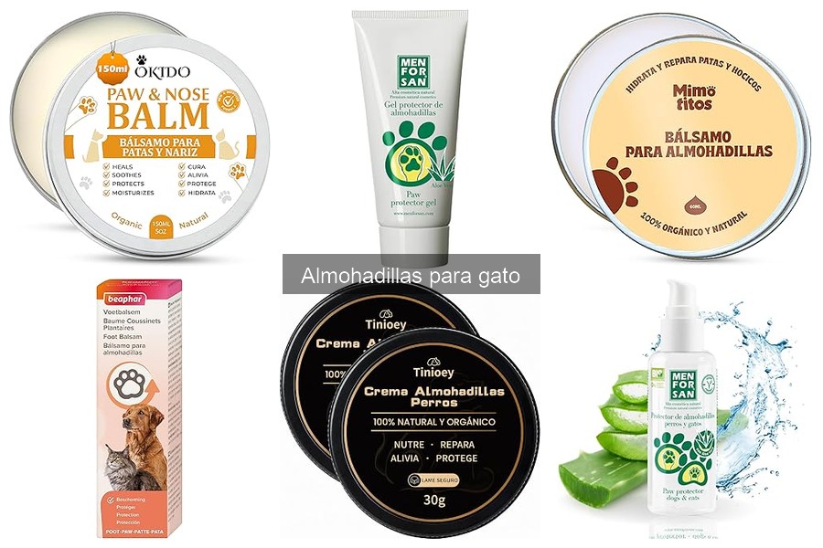 Cómo usar correctamente almohadillas para gatos | Guía efectiva