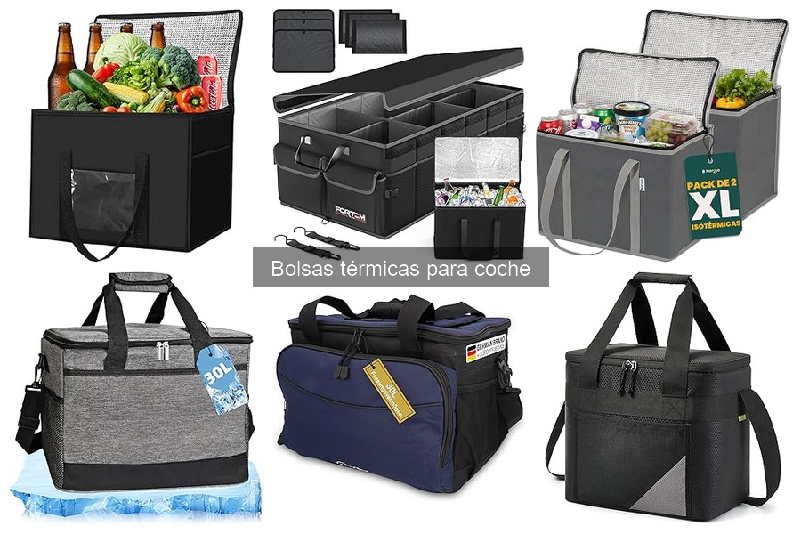 Comparativa: Bolsas térmicas vs Neveras portátiles para coche