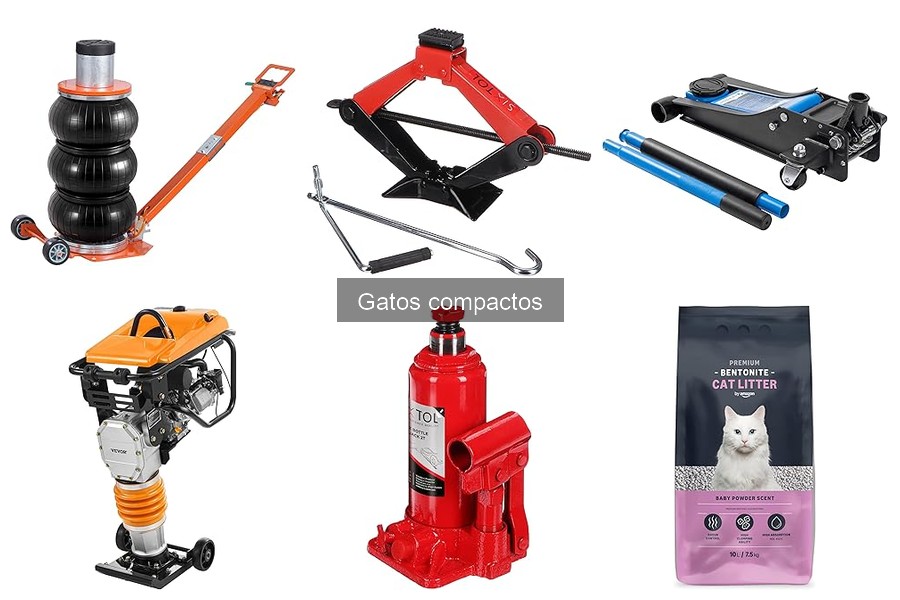 Guía para Elegir un Gato Compacto Ideal para tu Coche