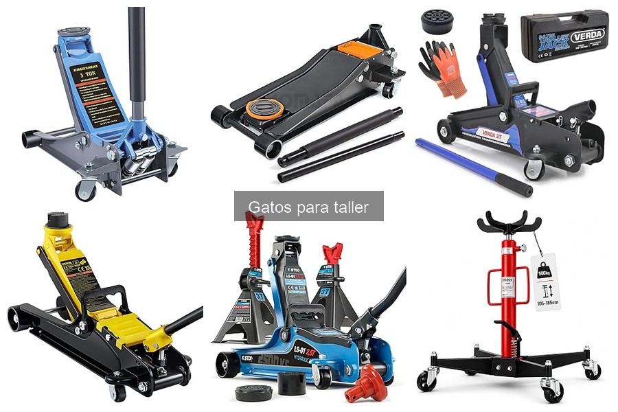 Mantenimiento de gatos para taller: consejos útiles