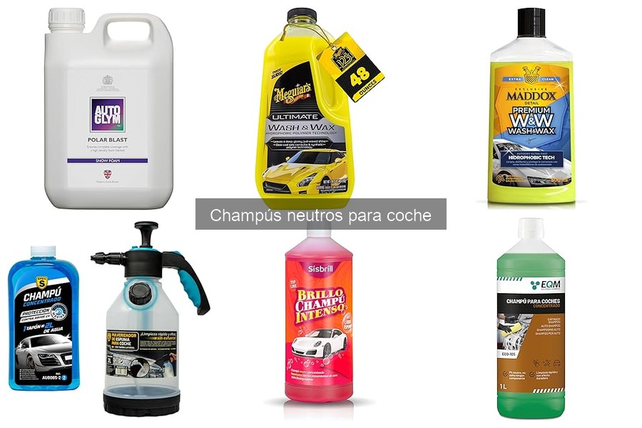 Mejores champús neutros para coche en 2023: comparativa