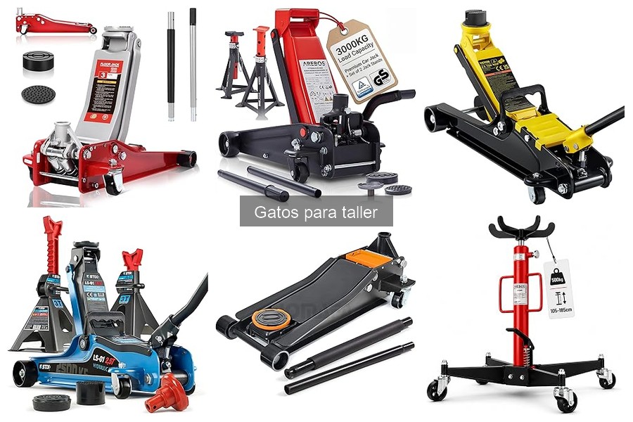 Mejores lugares para comprar gatos para taller a buen precio