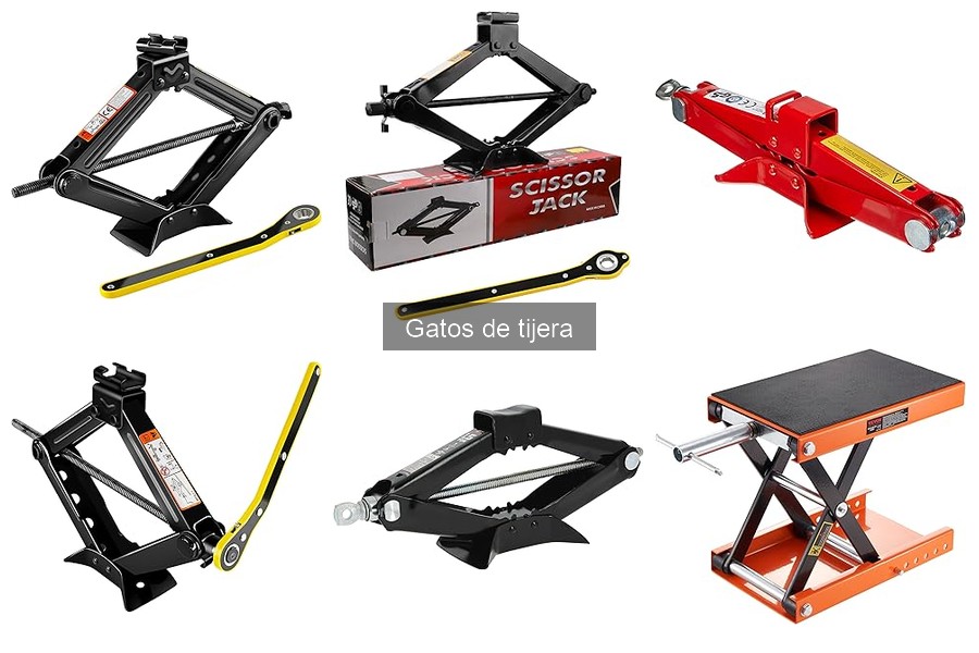 Mejores Ofertas y Dónde Comprar Gatos de Tijera