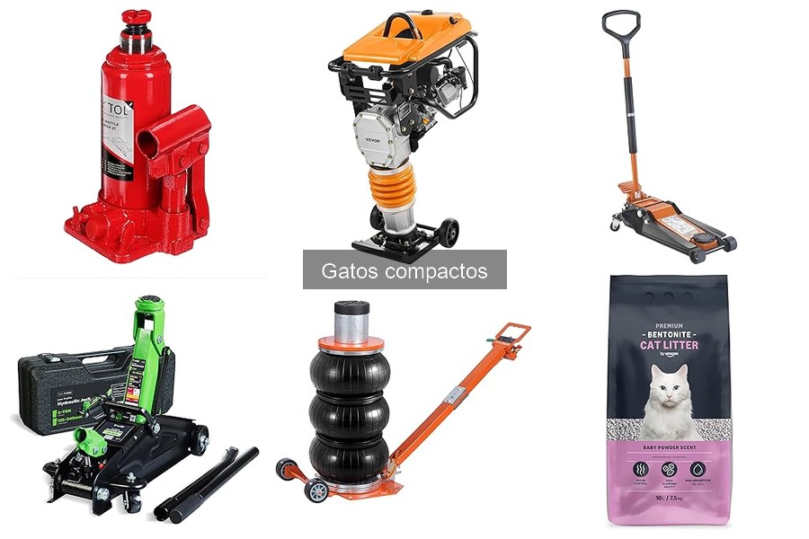 Mitos y realidades sobre gatos compactos para coches