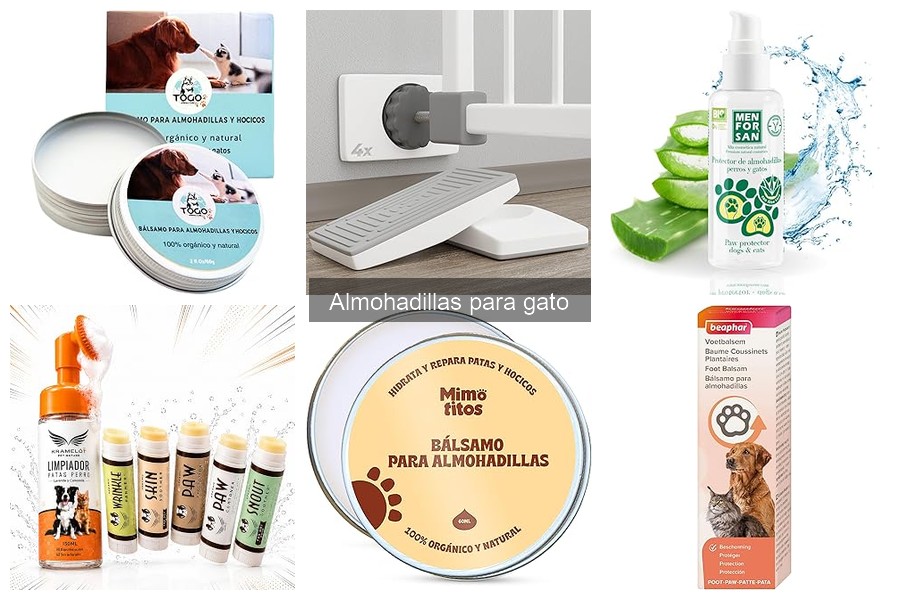 Ofertas y Descuentos en Almohadillas para Gato ¡Aprovecha!