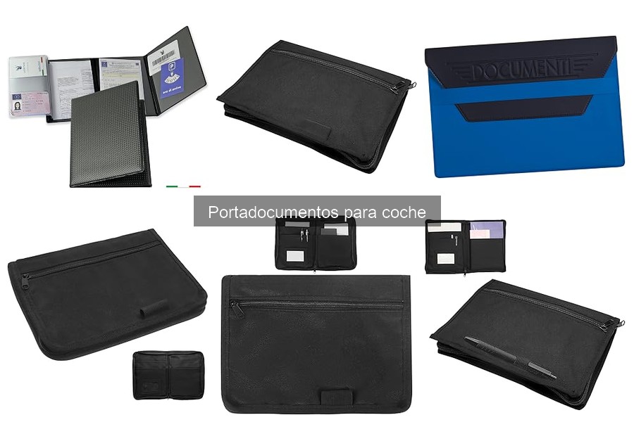 Organiza tus documentos en el portadocumentos para coche