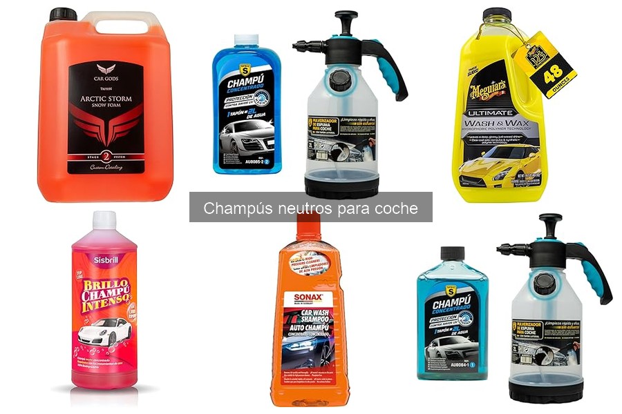 Precios de champús neutros para coche: guía y análisis