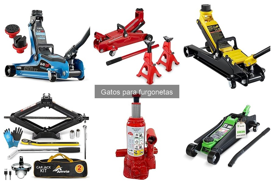 ¿Qué son los gatos para furgonetas? Guía completa